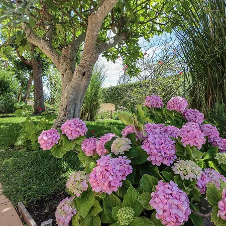 Casa Pepa-paca - Swiming Pool & Air Condition - - Sesmarias - By Bedzy 度假居 *